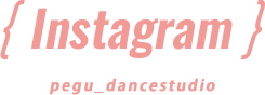 Instagram pegu_dancestudio